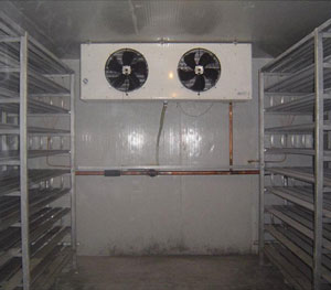 �R��ʽ�ك����(k��)